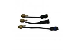 China LN-GTS Bronze CNG LPG Automotive Gas Temperature Sensor supplier