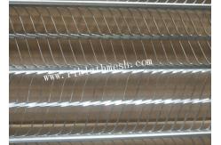 China 5mm Rib Height Expanded Metal Rib Lath Galvanized 2.5m Length supplier
