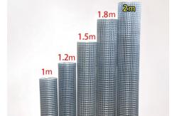 China Galvanized Bird Cage Electro Welded Iron Wire Mesh Multifunctional supplier