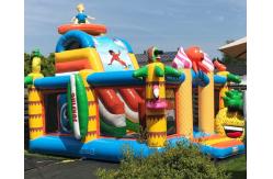 China Commercial Inflatable Bouncer Slide Digitial Printing Logo supplier