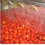 China Automatic Tomato Paste Processing Line High Speed for sale