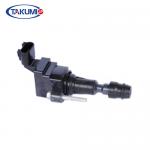 Energy Saving Auto Ignition Coils Silicone Material Powerful Ignition Energy for sale