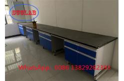 China Phenolic Resin Or Epoxy Resin Lab Benches Manufacturers With DTC105 DEG Hinges supplier