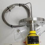 German VEGA guided wave level gauge FX81 cable type continuous level and interlayer measurement level gauge for sale