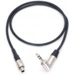 FVB 00 3PIN Plug to 3.5mm Audio Limited A10-TX Time Code Cable for sale