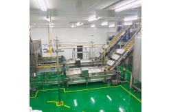 China Fresh Pineapple / Mango Juice Processing Plant With Can Packaging Machine supplier