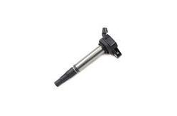 China Beru Denso Delphi Agent Auto Car Ignition Coil Ignition Cable supplier