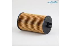 China 10105963 3104344 Car Engine Oil Filter Large Capacity Fit MG HS 2018 MG GS 2014 supplier