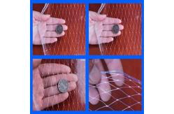 China UV Resistant Anti Bird Net Square Mesh with Various Mesh Sizes supplier