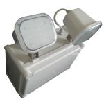 Industrial Waterproof Twin Spot Led Emergency Light With 3 Hours Autonomy for sale