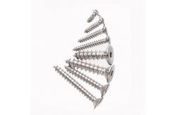 China DIN EN ISO 14586 SUS304 Plum Blossom Screw Countersunk Head Tapping Screw supplier