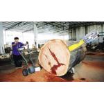 Portable wood slasher chainsaw mill,tree log cutting into shorter parts for sale