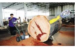 China Big power gasoline chain saw wood log cutting machine with best price supplier