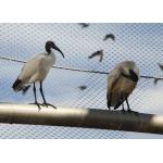 Walk-In Safety Aviary Wire Netting Flexible Zoo Mesh Rail 30x30mm
