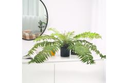 China Pu Artificial Potted Floor Plants For Garden Decoration supplier