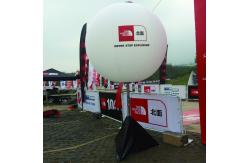 China PVC Advertising sealed Inflatable Balloons, Custom design inflatable Balls supplier