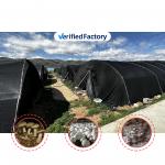 Side Height 1.2-1.8m and Arch Space 1-1.5m Mushroom Poly Tunnel Greenhouse UV Protected for sale