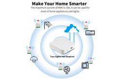 China Voice Control Homekit Thread Switch Automation Remote Homekit Scene Switch supplier