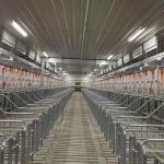 2.5mm tube Sow Raising Pig Gestation Crate for sale
