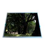 TCG121XGLPAPNN-AN20-S 12.1inch TFT lcd industrial lcd panel 105ppi Kyocera for sale