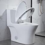 1.28 Gpf One Piece Tall Elongated Toilets For Elderly White Quiet Flush for sale