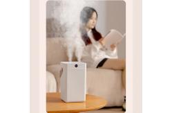 China HOMEFISH Desktop 3L Double Spray Portable Ultrasonic Air Humidifiers For Office supplier