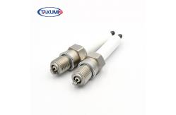 China REPLACE FOR ERPILLAR 243-4291 WAUKESHA 69919D Spark Plug supplier