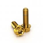 Hexagonal Head Flange Titanium Bolts M2-M35 Size Silver Golden