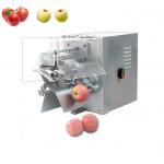 304 Stainless Steel Electric Apple Corer And Peeler 304 Stainless Steel for sale