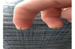 China 1mx30m 1.24mm Galvanised Welded Wire Mesh supplier