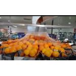 Automatic Orange Fruit And Vegetable Packaging Machine With Net for sale