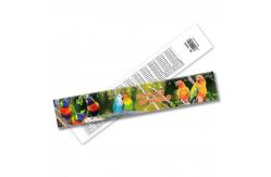 China Cute Fancy Printing 3D Lenticular Ruler Plastic Flexible Ruler Customized Shape supplier