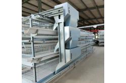 China Galvanized Steel Poultry Battery Chicken Cages 3 Tier Egg Layer Cage A4L-160 supplier