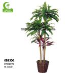 Wholesale Stunning 220cm Artificial Dracaena Tree Space Decor For Indoor Decoration for sale