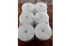 China 1kg/2kg Roll PP Polypropylene  Tomato Twine With 1% - 3% UV Treated supplier