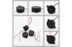 China 80dB DC12V 2 Wire Industrial Electronic Piezoelectric Alarm Buzzer supplier