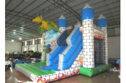 China Dragon Design Inflatable Jump House Commercial Grade Digital Printing Fireproof supplier