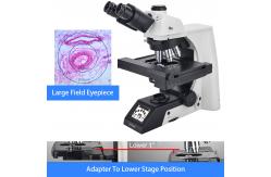 China Research Scientific Full Auto Motorized Opto-Edu Binocular Biological Microscope A12.1095 supplier