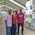 Chicken House Laying Hens Cage，Battery Chickens Layer Cages Automatic for sale