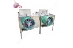 China Garlic Splitter Machine Electric Garlic Separating Machine Garlic Clove Separating Machine supplier