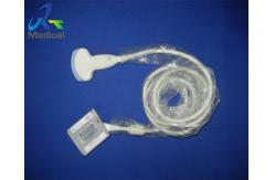 China GE 4C-SC Convex Abdominal Ultrasound Transducer Probe  90 days Warranty supplier