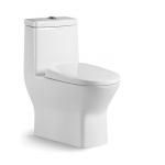 Ceramic One Piece Toilet Floor Mounted P Trap S Trap Dual Flush Elongated Bowl for Home / Hotels for sale