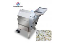 China SS Slender No Sticky Edges Vegetable Processing Machine Tengsheng supplier