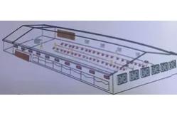 China Automatic Poultry Equipment Broiler Feeding And Drinking System Chicken Farm Equipment supplier