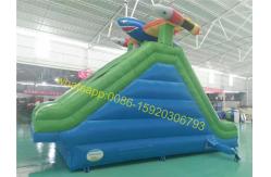 China shark samll kids pool water slide supplier