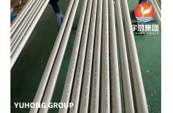 China ASTM A312 TP304 Pickled Surface Stainless Steel Seamless Pipe PT Available supplier