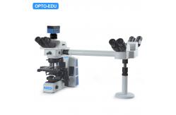 China Inclined 22mm Multi Viewing Microscope Opto-Edu A17.0950-3 supplier