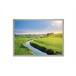 15-inch Industrial TFT-LCD Panel with 1024x768 Pixels Resolution and 500 Nits