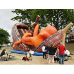 Mini Bouncer Inflatable Amusement Park