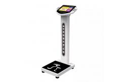China 10.1 Inches Touch Lcd Screen Body Composition Analyzer Machine Luggage supplier